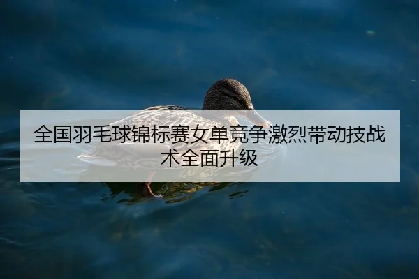 全国羽毛球锦标赛女单竞争激烈带动技战术全面升级
